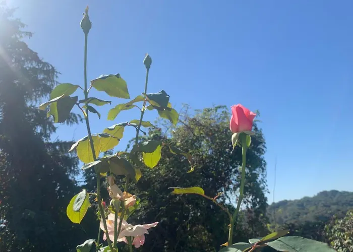 La Poesie Nocleg ze śniadaniem 3*